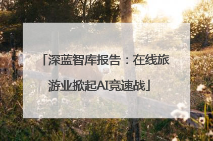 深蓝智库报告：在线旅游业掀起AI竞速战