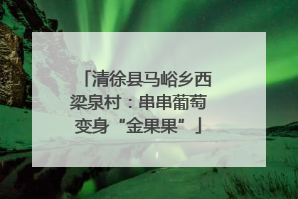 清徐县马峪乡西梁泉村：串串葡萄变身“金果果”