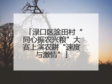 渌口区淦田村“同心振农兴粮”大赛上演农耕“速度与激情”