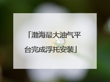 渤海最大油气平台完成浮托安装