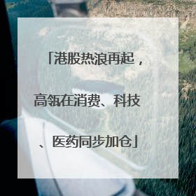港股热浪再起，高瓴在消费、科技、医药同步加仓