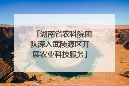 湖南省农科院团队深入武陵源区开展农业科技服务