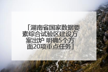 湖南省国家数据要素综合试验区建设方案出炉 明确5个方面20项重点任务