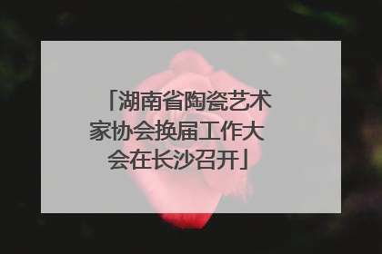 湖南省陶瓷艺术家协会换届工作大会在长沙召开