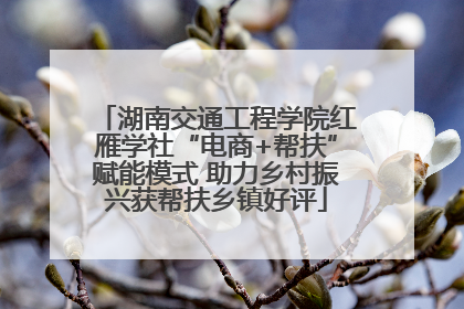 湖南交通工程学院红雁学社“电商+帮扶”赋能模式 助力乡村振兴获帮扶乡镇好评