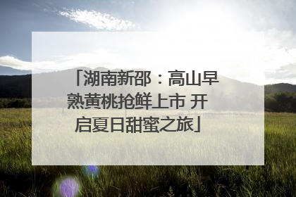 湖南新邵：高山早熟黄桃抢鲜上市 开启夏日甜蜜之旅