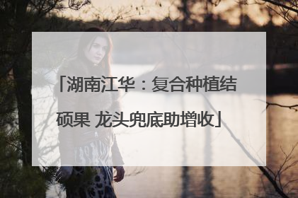 湖南江华：复合种植结硕果 龙头兜底助增收