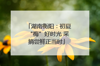 湖南衡阳：初夏“梅”好时光 采摘尝鲜正当时