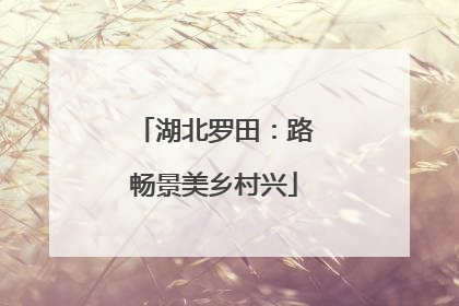湖北罗田：路畅景美乡村兴