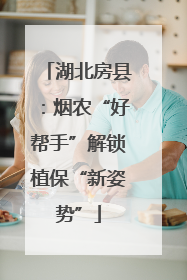 湖北房县：烟农“好帮手”解锁植保“新姿势”