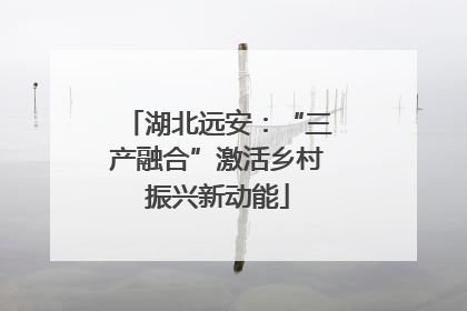 湖北远安：“三产融合”激活乡村振兴新动能