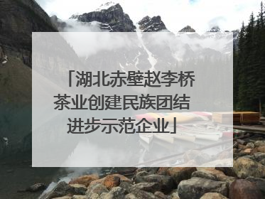 湖北赤壁赵李桥茶业创建民族团结进步示范企业