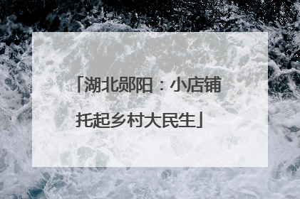 湖北郧阳：小店铺托起乡村大民生