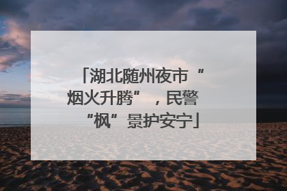 湖北随州夜市“烟火升腾”，民警“枫”景护安宁
