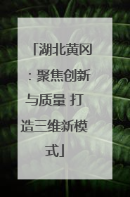 湖北黄冈：聚焦创新与质量 打造三维新模式