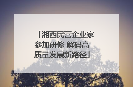 湘西民营企业家参加研修 解码高质量发展新路径