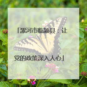 漯河市临颍县：让党的政策深入人心