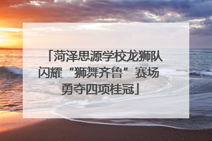 菏泽思源学校龙狮队闪耀“狮舞齐鲁”赛场 勇夺四项桂冠