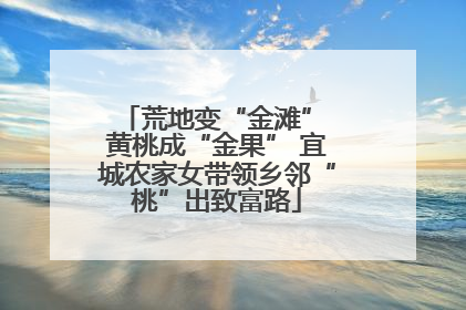 荒地变“金滩” 黄桃成“金果” 宜城农家女带领乡邻“桃”出致富路