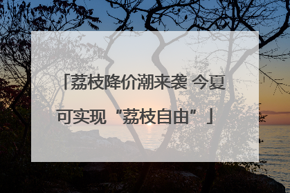 荔枝降价潮来袭 今夏可实现“荔枝自由”