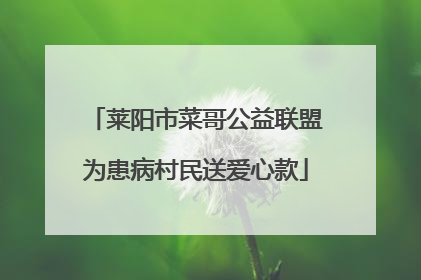 莱阳市菜哥公益联盟为患病村民送爱心款