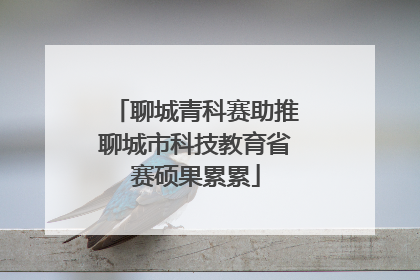 聊城青科赛助推聊城市科技教育省赛硕果累累
