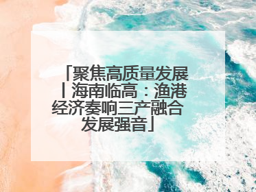 聚焦高质量发展丨海南临高:渔港经济奏响三产融合发展强音
