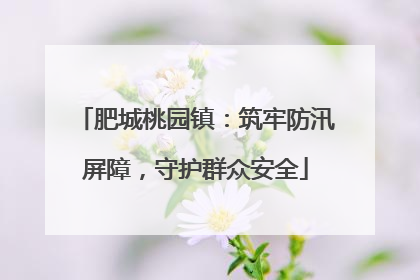 肥城桃园镇：筑牢防汛屏障，守护群众安全