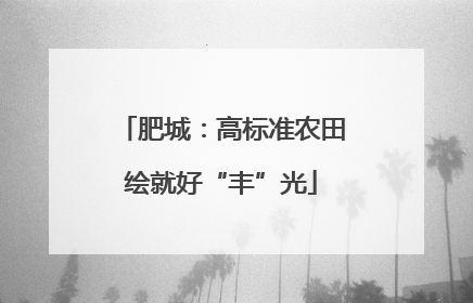 肥城：高标准农田绘就好“丰”光