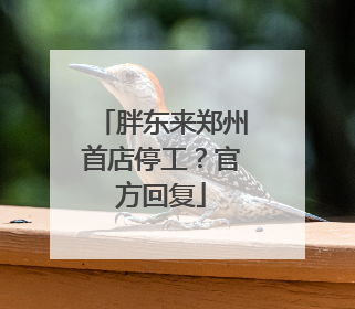 胖东来郑州首店停工？官方回复