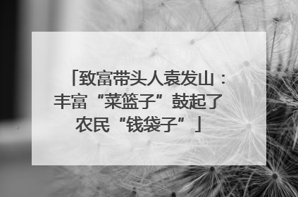 致富带头人袁发山：丰富“菜篮子”鼓起了农民“钱袋子”