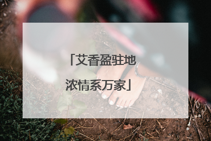 艾香盈驻地 浓情系万家