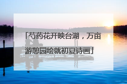 芍药花开映台湖，万亩游憩园绘就初夏诗画