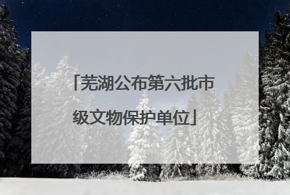 芜湖公布第六批市级文物保护单位