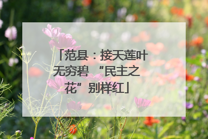 范县：接天莲叶无穷碧 “民主之花”别样红