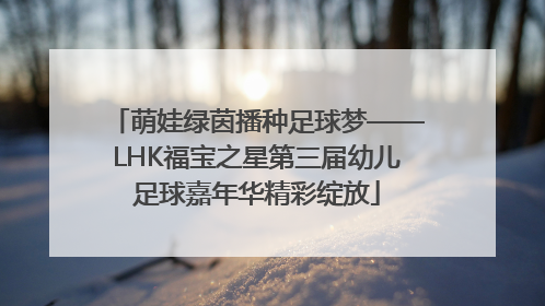 萌娃绿茵播种足球梦——LHK福宝之星第三届幼儿足球嘉年华精彩绽放