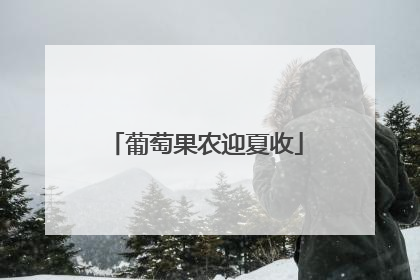 葡萄果农迎夏收