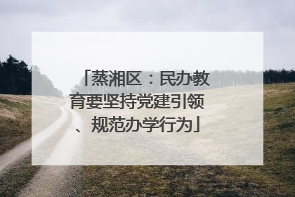 蒸湘区：民办教育要坚持党建引领、规范办学行为