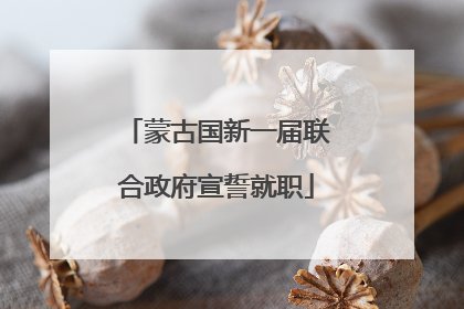 蒙古国新一届联合政府宣誓就职
