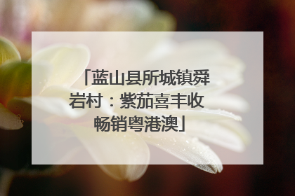 蓝山县所城镇舜岩村：紫茄喜丰收 畅销粤港澳