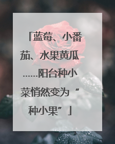 蓝莓、小番茄、水果黄瓜……阳台种小菜悄然变为“种小果”
