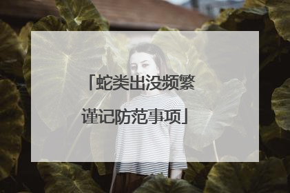 蛇类出没频繁 谨记防范事项