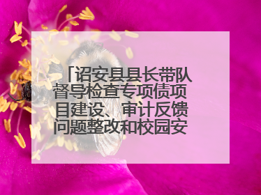 诏安县县长带队督导检查专项债项目建设、审计反馈问题整改和校园安全工作
