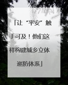让“平安”触手可及！他们这样构建城乡立体巡防体系