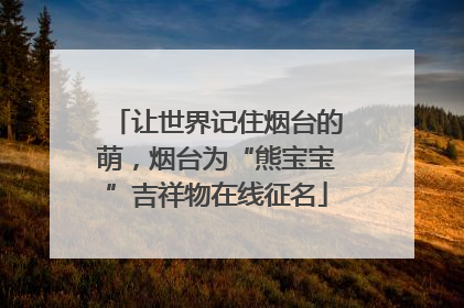 让世界记住烟台的萌，烟台为“熊宝宝”吉祥物在线征名