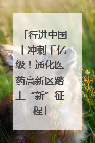 行进中国丨冲刺千亿级！通化医药高新区踏上“新”征程