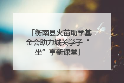 衡南县火苗助学基金会助力城关学子“坐”享新课堂
