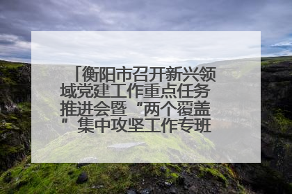 衡阳市召开新兴领域党建工作重点任务推进会暨“两个覆盖”集中攻坚工作专班 第一次会议