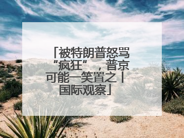 被特朗普怒骂“疯狂”，普京可能一笑置之丨国际观察