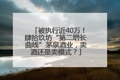 被执行近40万！肆拾玖坊“第二增长曲线”茅泉酒业，卖酒还是卖模式？